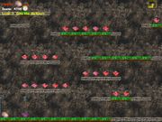 Camy 2 Special Edition