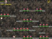 Camy 2 Special Edition