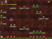 Camy 2 Special Edition