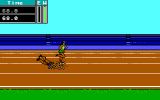 [Carl Lewis' Go for the Gold - скриншот №9]