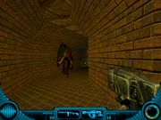 Carnivores: Cityscape