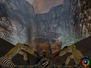 Carnivores: Cityscape