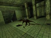 Carnivores: Cityscape