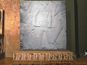 The Cassandra Galleries