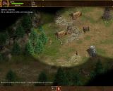 [Celtic Kings: Rage of War - скриншот №10]