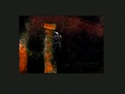 Ceremony of Innocence