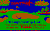 [Championship Golf: The Great Courses of the World. Volume One: Pebble Beach - скриншот №1]