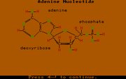 Chemicals of Life III – Proteins and Nucleic Acids