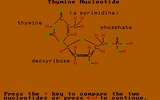 [Chemicals of Life III – Proteins and Nucleic Acids - скриншот №11]