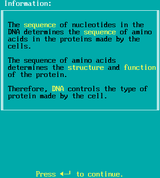 [Chemicals of Life III – Proteins and Nucleic Acids - скриншот №15]