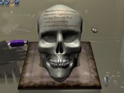 Чёрный Оазис