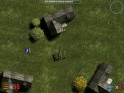 Чёрный орёл