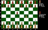 [The Chessmaster 2100 - скриншот №3]