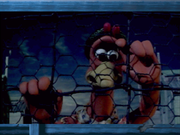 Chicken Run