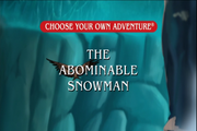 Choose Your Own Adventure: The Abominable Snowman