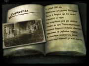 Chronicles of Vampire Hunter