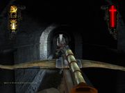 Chronicles of Vampire Hunter