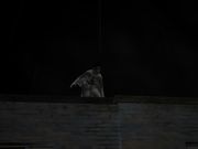 Chronicles of Vampire Hunter