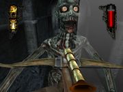 Chronicles of Vampire Hunter