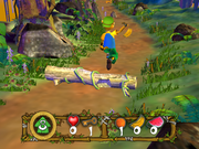 Coati Guri Guazú: En la Selva