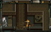 Colony 28