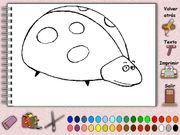 Colorines 2: Rosa