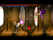 Come Back Taiji Boys