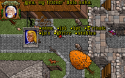 The Complete Ultima VII