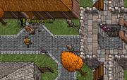 The Complete Ultima VII