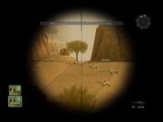 Conflict: Desert Storm