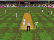 Cricket 97
