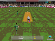 Cricket 97