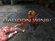 Cro Cop: Beyond the Reality