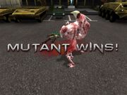 Cro Cop: Beyond the Reality