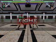 Cro Cop: Beyond the Reality