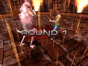 Cro Cop: Beyond the Reality