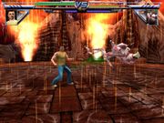 Cro Cop: Beyond the Reality