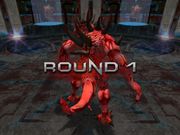 Cro Cop: Beyond the Reality