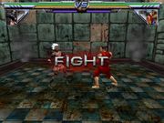 Cro Cop: Beyond the Reality