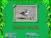 Crosscountry Canada: Photo Safari