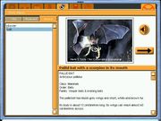 Crosscountry Canada: Photo Safari