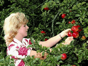 Crosscountry Canada Platinum