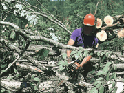 Crosscountry Canada Platinum