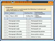 Crosscountry USA: Photo Safari