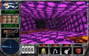 CyberDillo