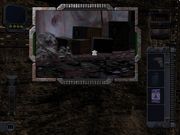 Dark Side of the Moon