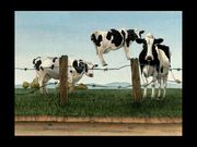 The Day the World Broke