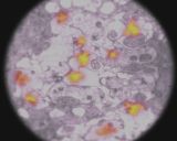 [Devastation - скриншот №38]