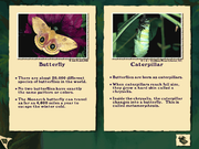 Disney's Tarzan: Activity Center