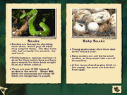 Disney's Tarzan: Activity Center